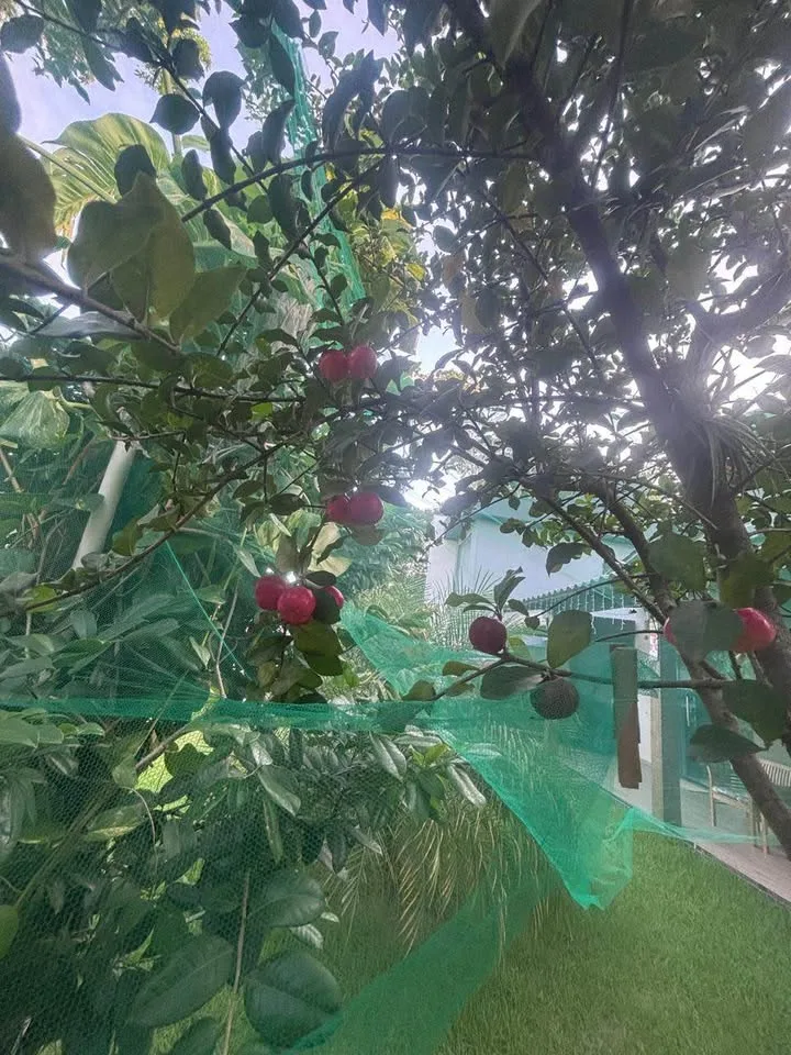 Casa 3 quartos com hidromassagem privativa – Novo Arraial — foto 14