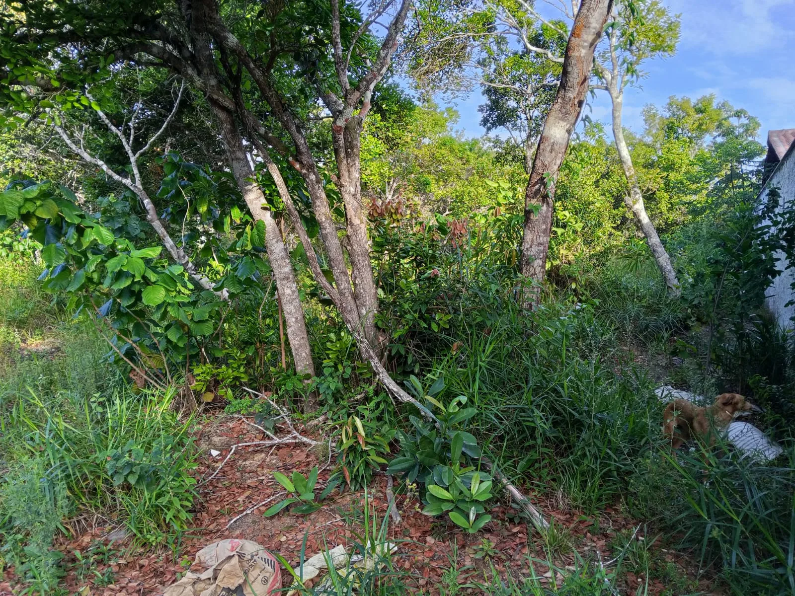 Terreno documentado no Villas - Etapa 2 — foto 3