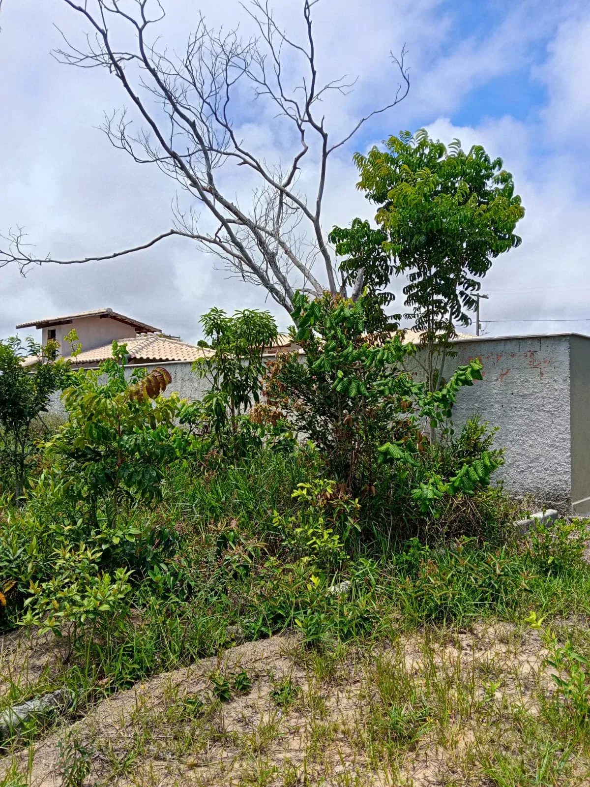 Terreno à venda no bairro Tororão — foto 6