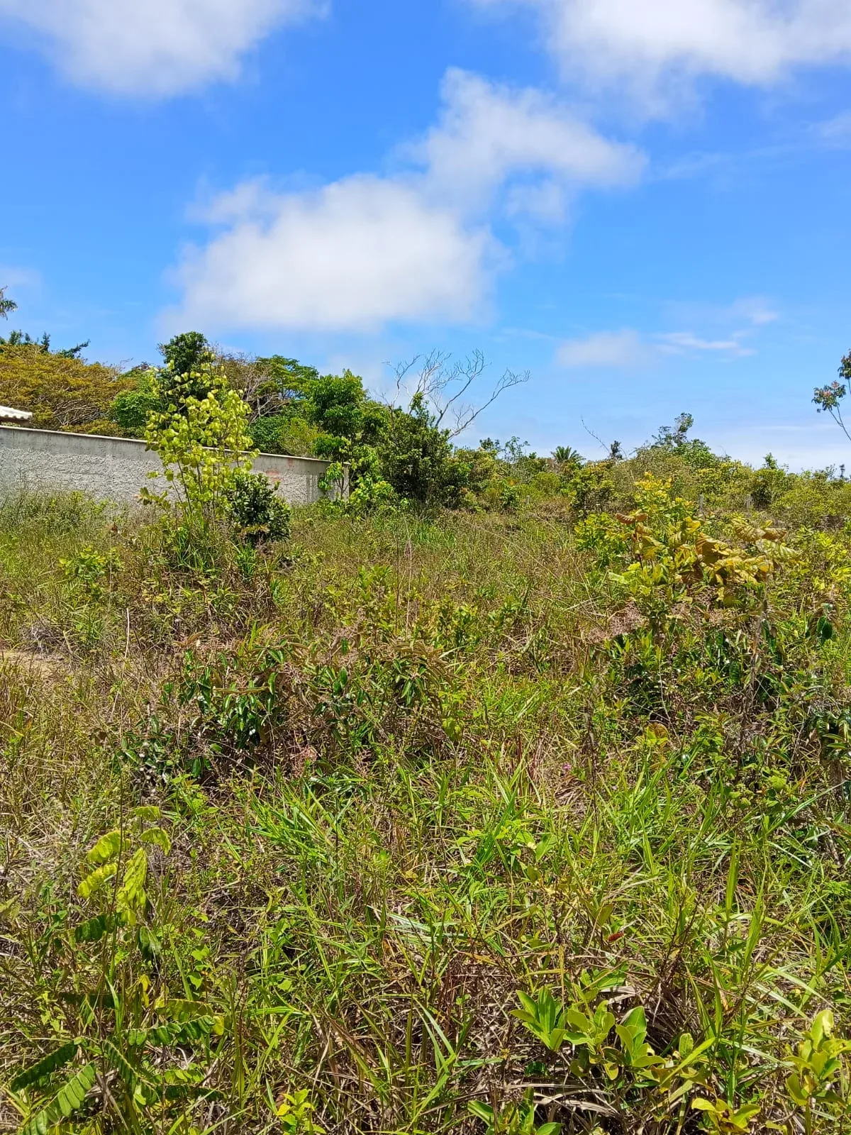 Terreno à venda no bairro Tororão — foto 4