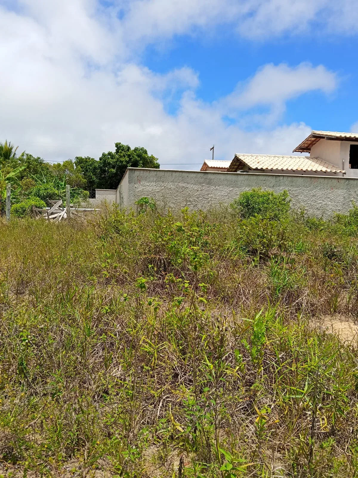 Terreno à venda no bairro Tororão — foto 3