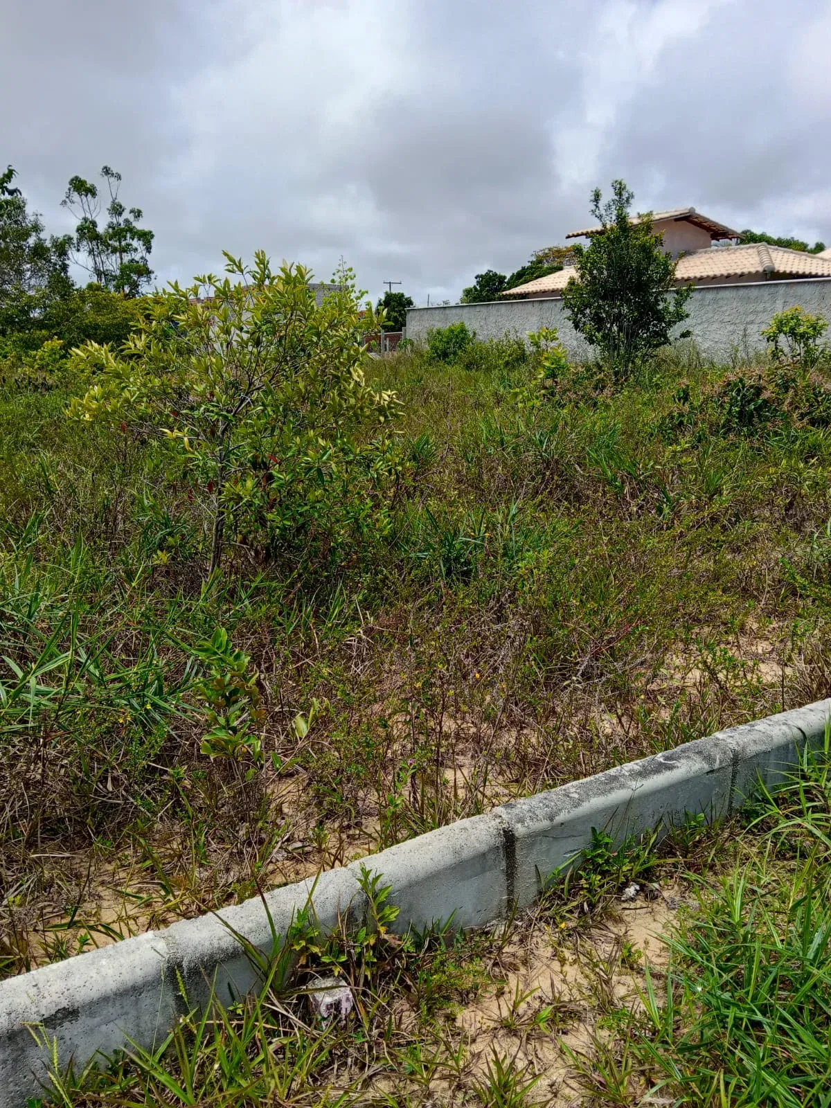 Terreno à venda no bairro Tororão — foto 5