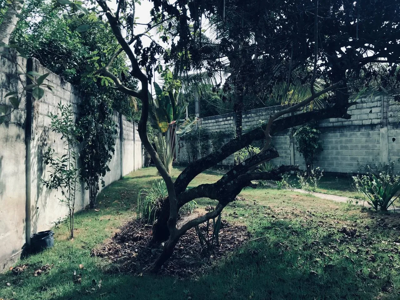 Casa em terreno privativo na Estrada da Balsa — foto 6