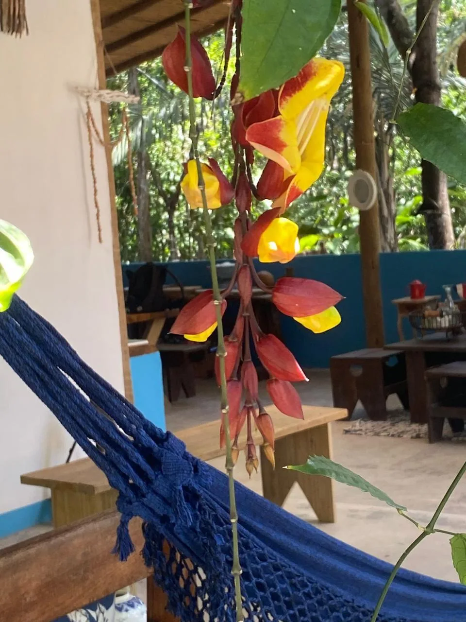 Linda Casa Trancoso — foto 2