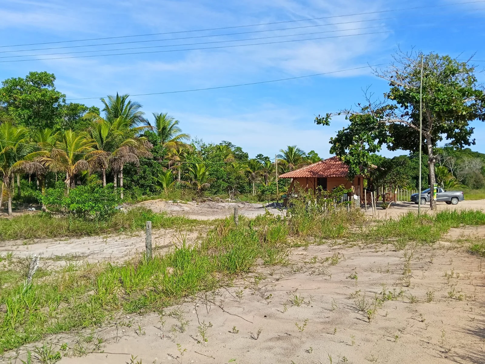 Excelente área rural e comercial às margens da BA-001 — foto 2