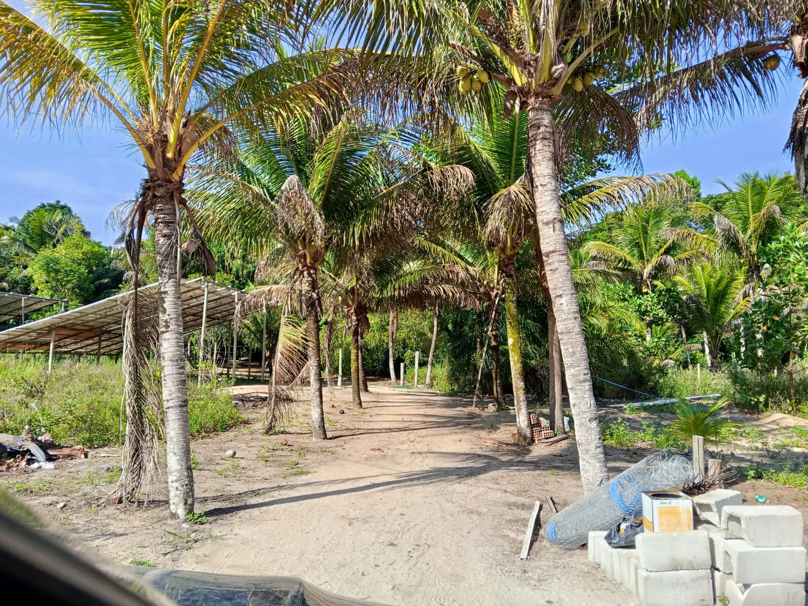 Excelente área rural e comercial às margens da BA-001 — foto 4