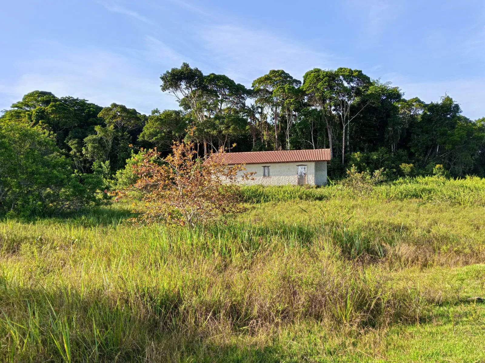 Oportunidade: área rural em frente ao Trancoso Beach Farm — foto 3