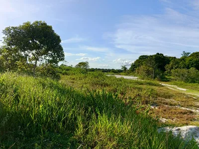 Oportunidade: área rural em frente ao Trancoso Beach Farm