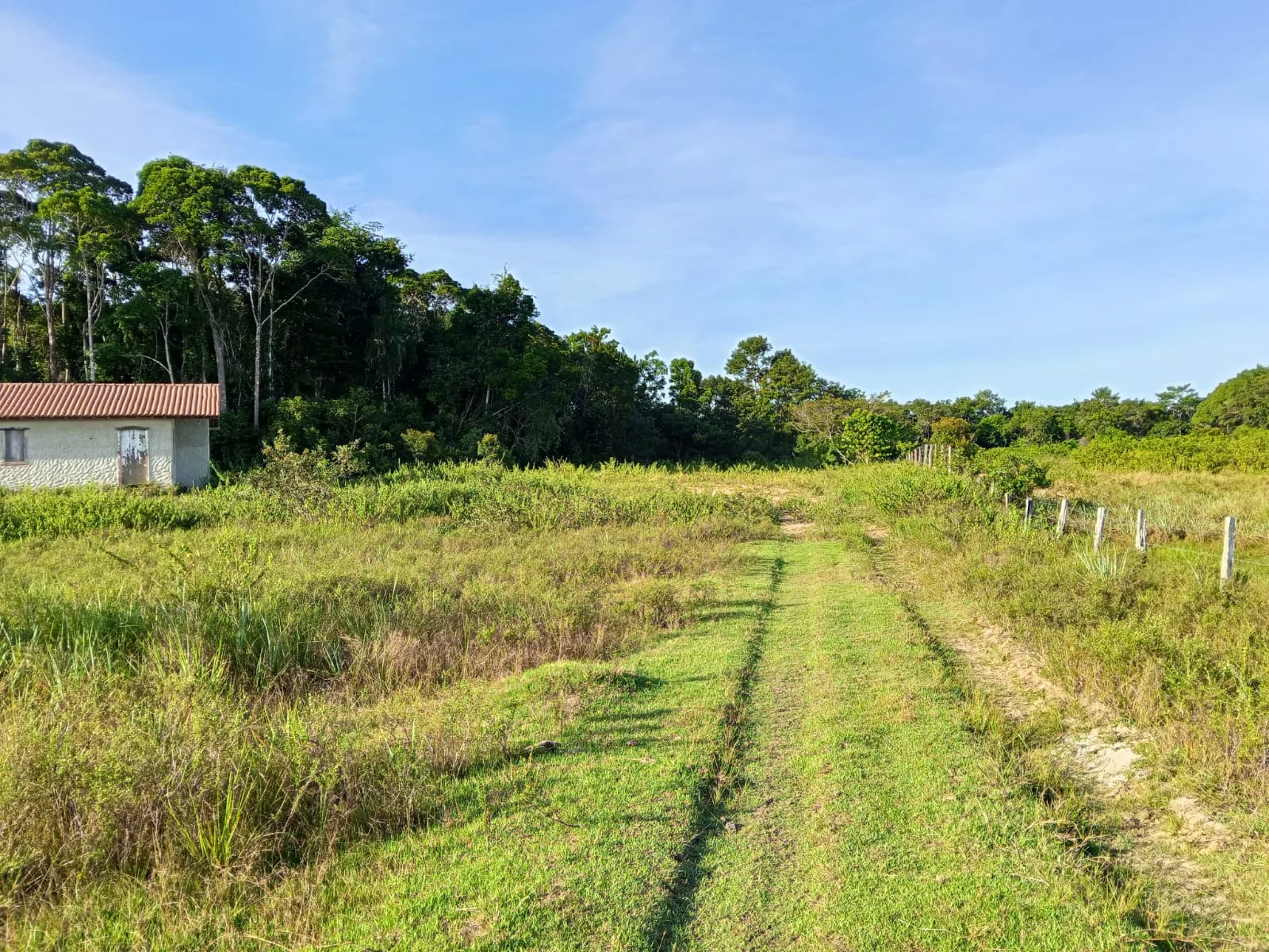 Oportunidade: área rural em frente ao Trancoso Beach Farm — foto 2