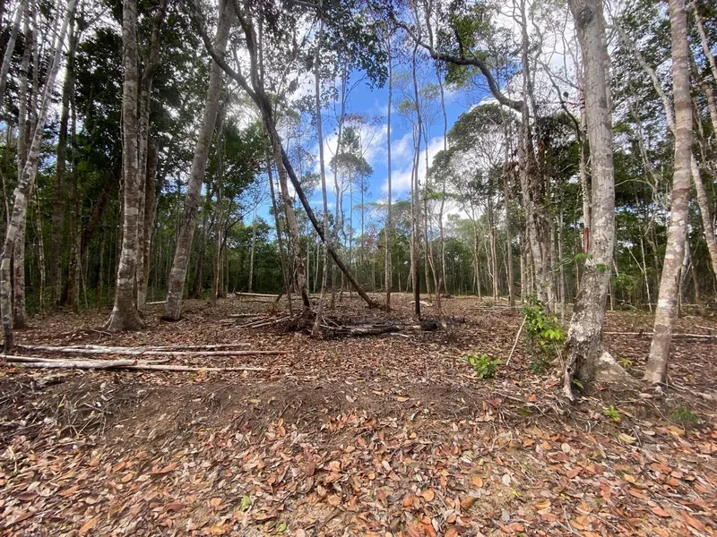 Terreno à venda na Estrada do Taípe
