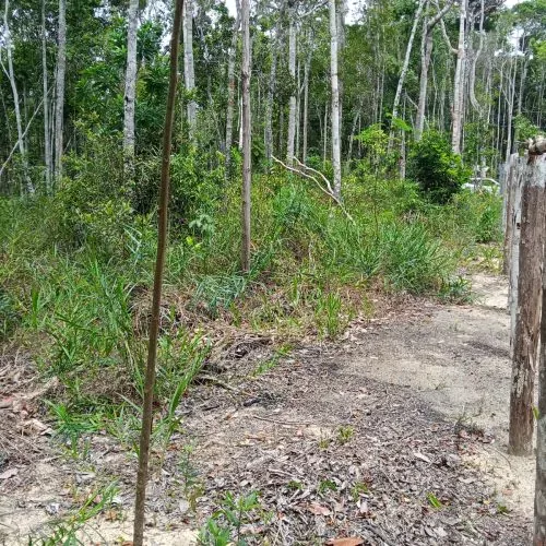 Terreno à venda na Estrada do Taípe — foto 5